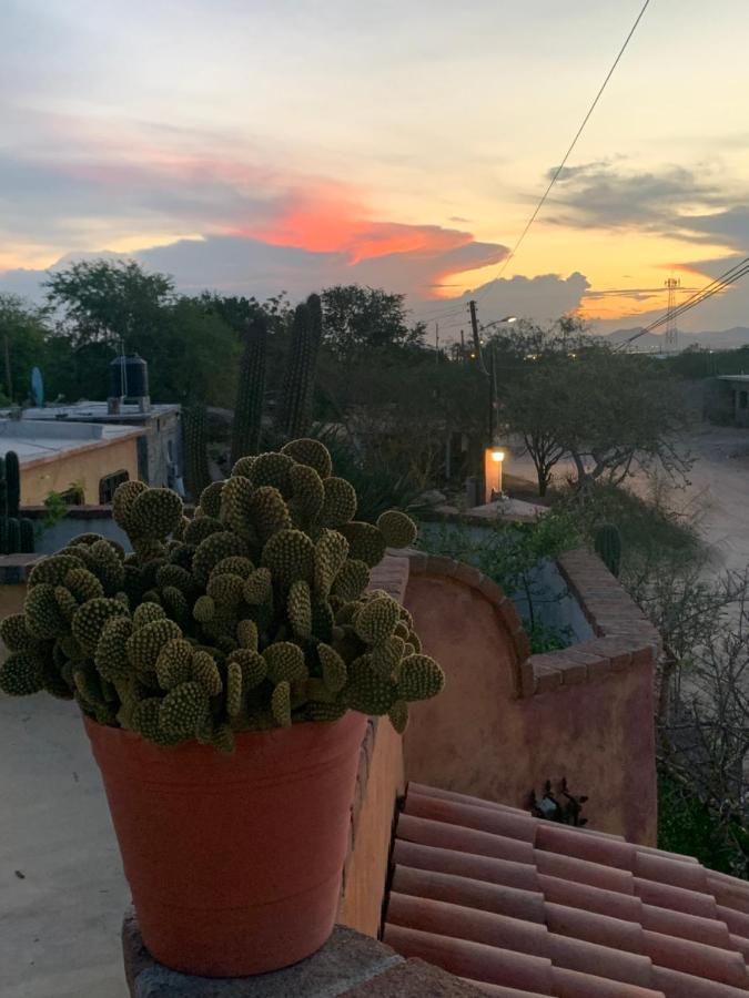 El CentenarioCasa Xochitl住宿加早餐旅馆 外观 照片